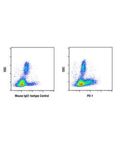 Cell Signaling PD-1 (NAT105) Mouse mAb; 20 µl