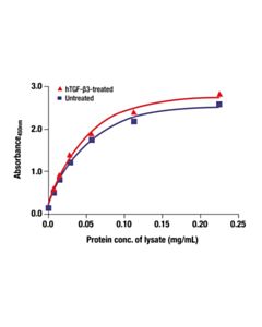 Cell Signaling SMAD2/3 (L1D6) Mouse mAb (BSA and Azide Free) 100 ug
