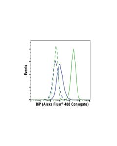 Cell Signaling Bip (C50b12) Rabbit mAb (Alexa Fluor 488 Conjugate)