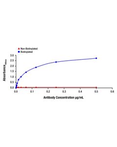 Cell Signaling Phospho-Akt (Ser473) (D9E) Rabbit Monoclonal Antibody (Biotinylated)