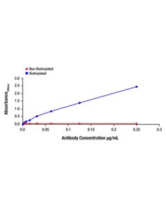 Cell Signaling HA-Tag (C29F4) Rabbit Monoclonal Antibody (Biotinylated)