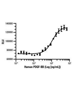 Cell Signaling Human Pdgf-Bb Recombinant Protein