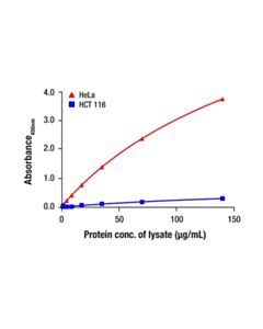 Cell Signaling Total TFEB Matched Antibody Pair; 1 Kit