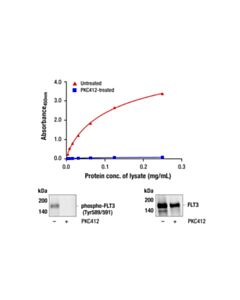 Cell Signaling PathScan Phospho-FLT3 (Tyr589/591) Sandwich ELISA Kit 1 Kit