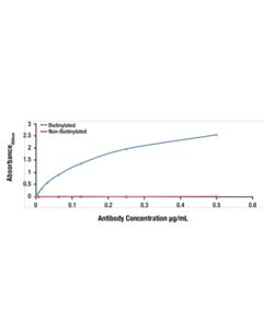 Cell Signaling Phospho-eIF2 alpha (Ser51) (D9G8) Rabbit Monoclonal Antibody (Biotinylated)