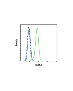 Cell Signaling IRAK4 (F5K3C) Rabbit mAb; 20 µl