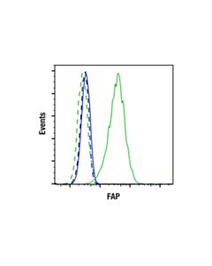 Cell Signaling FAP (F1A4G) Rabbit mAb