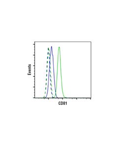 Cell Signaling CD81 (E2K9V) Rabbit mAb 20 uL