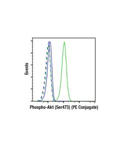 Cell Signaling Phospho-Akt (Ser473) (D9e) Xp Rabbit mAb (PE Conjugate)