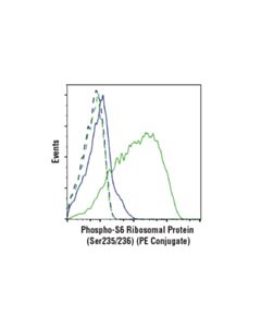 Cell Signaling Phospho-S6 Ribosomal Protein (Ser235/236) (D57.2.2e) Xp Rabbit mAb (PE Conjugate)