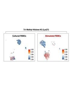 Cell Signaling Tri-Methyl-Histone H3 (Lys27) (C36B11) Rabbit mAb (InTraSeq 3 Conjugate 3017) 25 uL