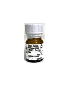Cell Signaling Deoxyribonuclease I, Recombinant (Animal-Free, Protease And Rnase Free)