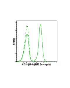 Cell Signaling Cd19 (1d3) Rat mAb (Fitc Conjugate)