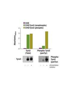 Cell Signaling Pathscan Phospho-Tyro3 (Pantyr) Sandwich ELISA Kit
