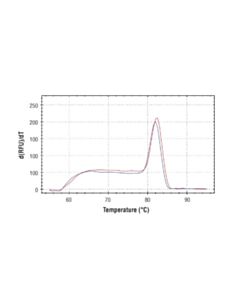 Cell Signaling Simplechip® Human Hmox1 Promoter Primers