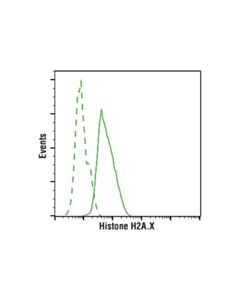 Cell Signaling Histone H2a.X (D17a3) Xp Rabbit mAb (PE Conjugate)