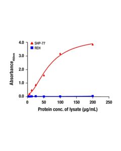 Cell Signaling PIP4K2C Matched Antibody Pair