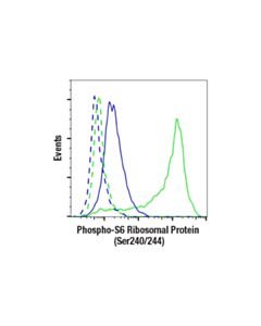 Cell Signaling Phospho-S6 Ribosomal Protein (Ser240/244) (D68f8) Xp Rabbit mAb