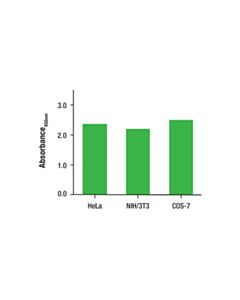 Cell Signaling Total Bmi1 Matched Antibody Pair