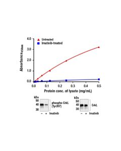Cell Signaling Pathscan ® Phospho-Crkl (Tyr207) Sandwich ELISA Kit