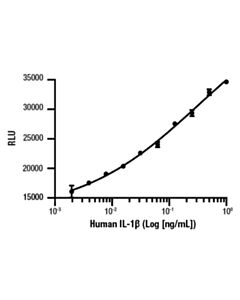 Cell Signaling Human Il-1beta Recombinant Protein