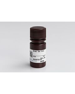 Cell Signaling Normal Goat Serum