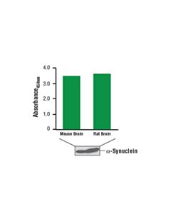 Cell Signaling Pathscan Total Alpha-Synuclein Sandwich ELISA Kit