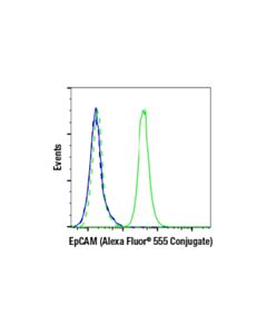Cell Signaling EpCAM (VU1D9) Mouse Monoclonal Antibody (Alexa Fluor ® 555 Conjugate)