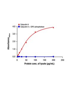 Cell Signaling Phospho-NDRG1 (Ser330) Matched Antibody Pair