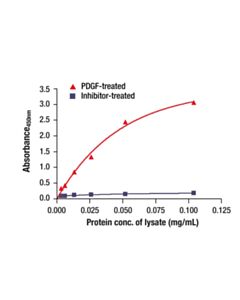 Cell Signaling Phospho-S6 Ribosomal Protein (Ser235/236) Matched Antibody Pair