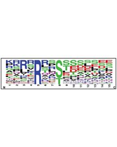 Cell Signaling PTMScan Phospho-Akt Substrate Motif mAb 1 (RXXS*/T*) Kit 1 Kit