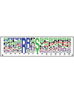 Cell Signaling PTMScan Phospho-PKA Substrate Motif (RRXS*/T*) Kit 1 Kit
