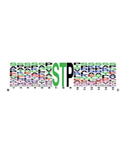 Cell Signaling PTMScan Phospho-ST*P Motif (ST*P) XP Rabbit mAb Kit 1 Kit