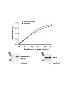 Cell Signaling PathScan ® RP Bcl-2 Sandwich ELISA Kit