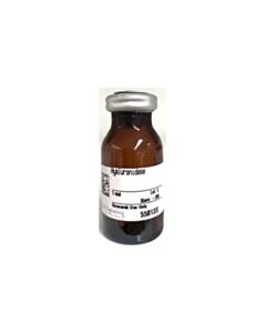 Cell Signaling Hyaluronidase