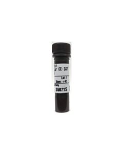 Cell Signaling Streptavidin (Alexa Fluor ® 647 Conjugate)