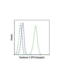 Cell Signaling Syndecan 1 (D4y7h) Rabbit mAb (PE Conjugate)