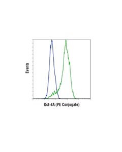 Cell Signaling Oct-4a (C30a3) Rabbit mAb (PE Conjugate)