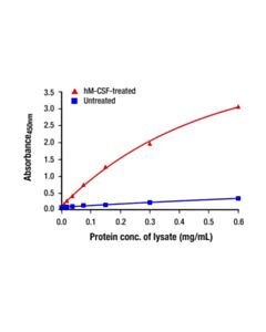Cell Signaling Phospho-CSF-1R/M-CSF-R (Tyr699) Matched Antibody Pair