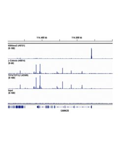 Cell Signaling Simplechip Plus Sonication Chromatin Ip Kit