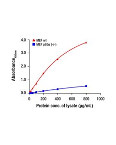 Cell Signaling PI3 Kinase p85 alpha Matched Antibody Pair