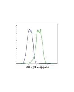 Cell Signaling P63-Alpha (D2k8x) Xp Rabbit mAb (PE Conjugate)