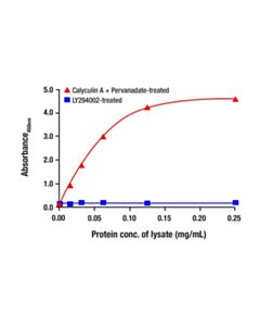 Cell Signaling Phospho-YB1 (Ser102) Matched Antibody Pair II