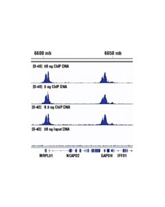 Cell Signaling Simplechip Chip-Seq Dna Library Prep Kit For Illumina