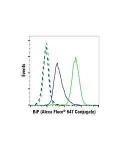 Cell Signaling Bip (C50b12) Rabbit mAb (Alexa Fluor 647 Conjugate)
