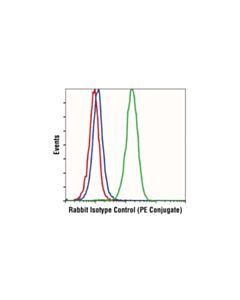 Cell Signaling Rabbit (Da1e) mAb Igg Xp Isotype Control (PE Conjugate)
