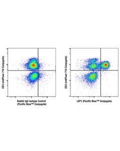 Cell Signaling LEF1 (C12A5) Rabbit mAb (Pacific Blue ™ Conjugate)