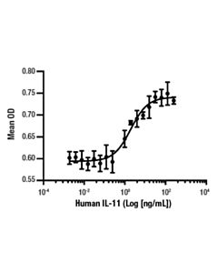 Cell Signaling Human Il-11 Recombinant Protein