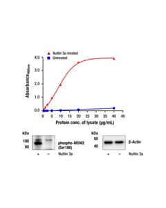 Cell Signaling PathScan ® RP Phospho-MDM2 (Ser186) Sandwich ELISA Kit