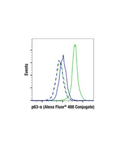 Cell Signaling P63-Alpha (D2k8x) Xp ® Rabbit mAb (Alexa Fluor ® 488 Conjugate)